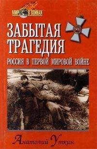 Читайте книги онлайн на Bookidrom.ru! Бесплатные книги в одном клике Анатолий Уткин - Забытая трагедия. Россия в первой мировой войне