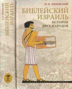 Читайте книги онлайн на Bookidrom.ru! Бесплатные книги в одном клике Игорь Липовский - Библейский Израиль. История двух народов