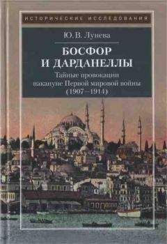 Читайте книги онлайн на Bookidrom.ru! Бесплатные книги в одном клике Юлия Лунева - Босфор и Дарданеллы. Тайные провокации накануне Первой мировой войны (1908–1914)