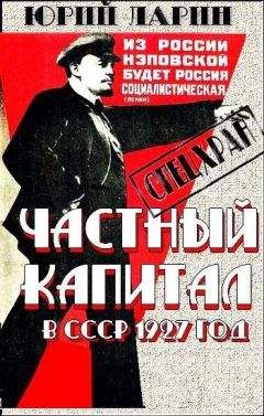 Читайте книги онлайн на Bookidrom.ru! Бесплатные книги в одном клике Юрий Ларин - Частный капитал в СССР