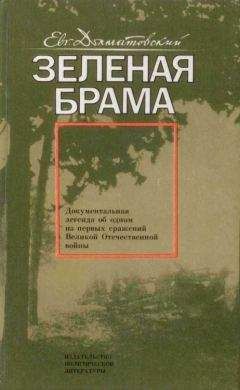 Читайте книги онлайн на Bookidrom.ru! Бесплатные книги в одном клике Евгений Долматовский - Зеленая брама