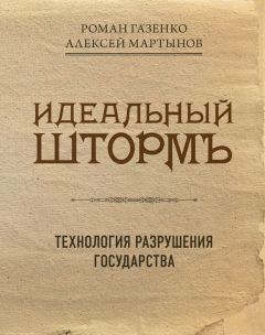 Читайте книги онлайн на Bookidrom.ru! Бесплатные книги в одном клике Роман Газенко - Идеальный шторм. Технология разрушения государства