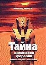 Читайте книги онлайн на Bookidrom.ru! Бесплатные книги в одном клике ВЛАДИМИР КОВТУН - ЦИЛИНДРЫ ФАРАОНА