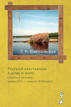 Читайте книги онлайн на Bookidrom.ru! Бесплатные книги в одном клике Елена Швейковская - Русский крестьянин в доме и мире: северная деревня конца XVI – начала XVIII века