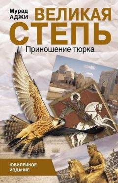 Читайте книги онлайн на Bookidrom.ru! Бесплатные книги в одном клике Мурад Аджи - Великая степь. Приношение тюрка (сборник)