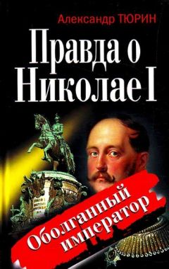 Читайте книги онлайн на Bookidrom.ru! Бесплатные книги в одном клике Александр Тюрин - Правда о Николае I. Оболганный император