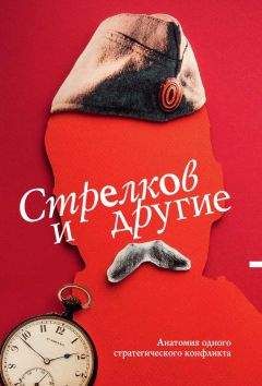 Читайте книги онлайн на Bookidrom.ru! Бесплатные книги в одном клике Сергей Кургинян - Стрелков и другие. Анатомия одного стратегического конфликта