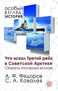 Читайте книги онлайн на Bookidrom.ru! Бесплатные книги в одном клике Сергей Ковалев - Что искал Третий рейх в Советской Арктике. Секреты «полярных волков»