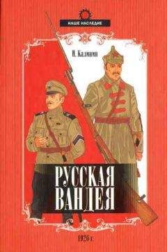 Читайте книги онлайн на Bookidrom.ru! Бесплатные книги в одном клике Иван Калинин - Русская Вандея