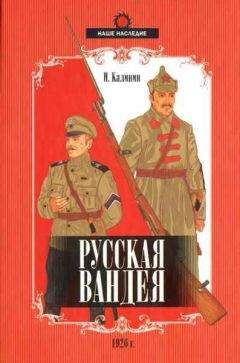 Читайте книги онлайн на Bookidrom.ru! Бесплатные книги в одном клике Иван Калинин - Русская Вандея