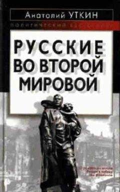 Читайте книги онлайн на Bookidrom.ru! Бесплатные книги в одном клике Анатолий Уткин - Русские во Второй мировой