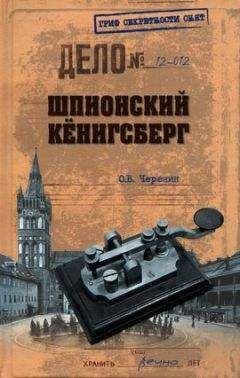 Читайте книги онлайн на Bookidrom.ru! Бесплатные книги в одном клике Олег Черенин - Шпионский Кёнигсберг. Операции спецслужб Германии, Польши и СССР в Восточной Пруссии. 1924–1942