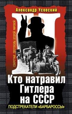 Читайте книги онлайн на Bookidrom.ru! Бесплатные книги в одном клике Александр Усовский - Кто натравил Гитлера на СССР. Подстрекатели «Барбароссы»