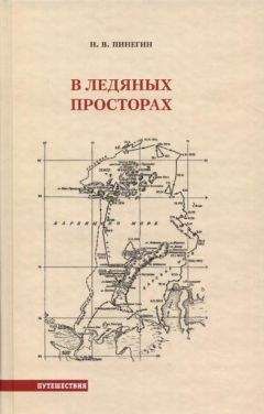 Читайте книги онлайн на Bookidrom.ru! Бесплатные книги в одном клике Н. Пинегин - В ледяных просторах