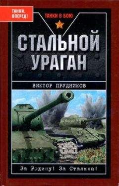 Читайте книги онлайн на Bookidrom.ru! Бесплатные книги в одном клике Виктор Прудников - Стальной ураган