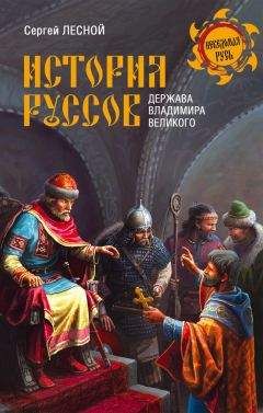 Читайте книги онлайн на Bookidrom.ru! Бесплатные книги в одном клике Сергей Парамонов - История руссов. Держава Владимира Великого