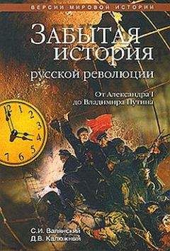 Дмитрий Калюжный - Забытая история русской революции. От Александра I до Владимира Путина