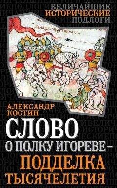 Читайте книги онлайн на Bookidrom.ru! Бесплатные книги в одном клике Александр Костин - Слово о полку Игореве – подделка тысячелетия