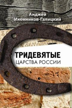 Читайте книги онлайн на Bookidrom.ru! Бесплатные книги в одном клике Анджей Иконников-Галицкий - Тридевятые царства России