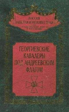 Читайте книги онлайн на Bookidrom.ru! Бесплатные книги в одном клике Николай Скрицкий - Георгиевские кавалеры под Андреевским флагом. Русские адмиралы — кавалеры ордена Святого Георгия I и II степеней