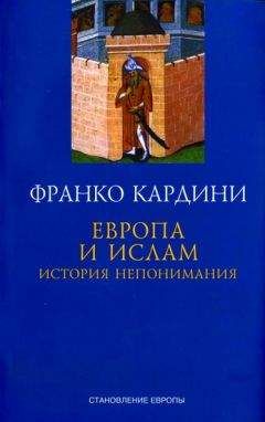 Читайте книги онлайн на Bookidrom.ru! Бесплатные книги в одном клике Франко Кардини - Европа и ислам  История непонимания