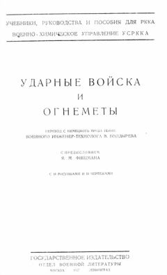 Читайте книги онлайн на Bookidrom.ru! Бесплатные книги в одном клике Тейне - Ударные войска и огнеметы