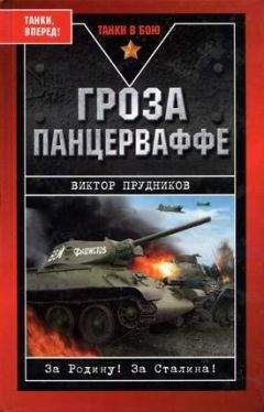 Читайте книги онлайн на Bookidrom.ru! Бесплатные книги в одном клике Виктор Прудников - Гроза панцерваффе