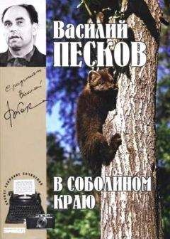 Читайте книги онлайн на Bookidrom.ru! Бесплатные книги в одном клике Василий Песков - Полное собрание сочинений. Том 1. В соболином краю