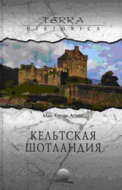 Читайте книги онлайн на Bookidrom.ru! Бесплатные книги в одном клике Агнес Мак-Кензи - Кельтская Шотландия