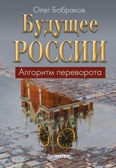 Читайте книги онлайн на Bookidrom.ru! Бесплатные книги в одном клике Олег Бобраков - Будущее России. Алгоритм переворота