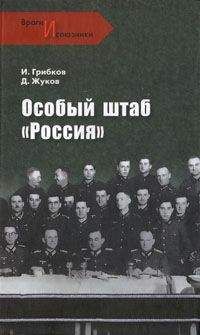 Читайте книги онлайн на Bookidrom.ru! Бесплатные книги в одном клике Иван Грибков - Особый штаб «Россия»