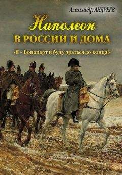 Читайте книги онлайн на Bookidrom.ru! Бесплатные книги в одном клике Александр Андреев - Наполеон в России и дома. «Я – Бонапарт и буду драться до конца!»