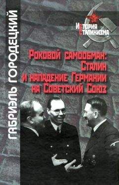 Читайте книги онлайн на Bookidrom.ru! Бесплатные книги в одном клике Габриэль Городецкий - Роковой самообман