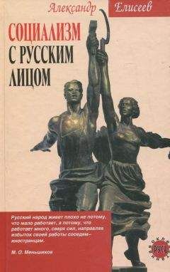 Читайте книги онлайн на Bookidrom.ru! Бесплатные книги в одном клике Александр Елисеев - Социализм с русским лицом