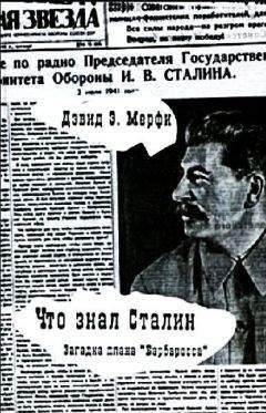 Читайте книги онлайн на Bookidrom.ru! Бесплатные книги в одном клике Дэвид Мёрфи - Что знал Сталин