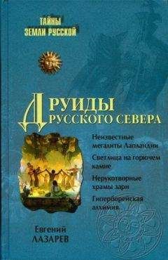 Читайте книги онлайн на Bookidrom.ru! Бесплатные книги в одном клике Евгений Лазарев - Друиды Русского Севера