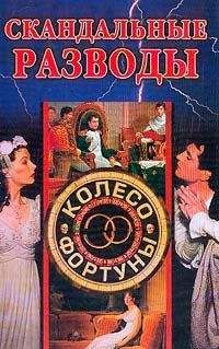 Читайте книги онлайн на Bookidrom.ru! Бесплатные книги в одном клике Дарья Нестерова - Скандальные разводы