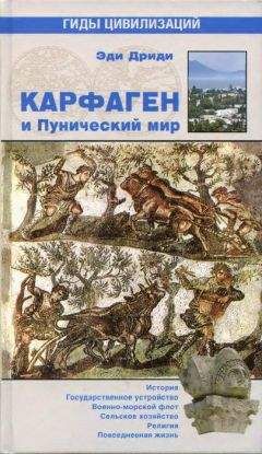 Читайте книги онлайн на Bookidrom.ru! Бесплатные книги в одном клике Эди Дриди - Карфаген и Пунический мир