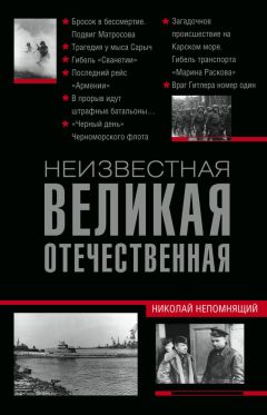 Читайте книги онлайн на Bookidrom.ru! Бесплатные книги в одном клике Николай Непомнящий - Неизвестная Великая Отечественная