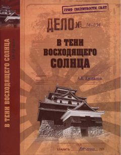 Читайте книги онлайн на Bookidrom.ru! Бесплатные книги в одном клике Александр Куланов - В тени восходящего солнца