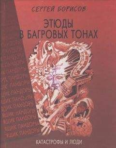 Читайте книги онлайн на Bookidrom.ru! Бесплатные книги в одном клике Сергей Борисов - Этюды в багровых тонах: катастрофы и люди