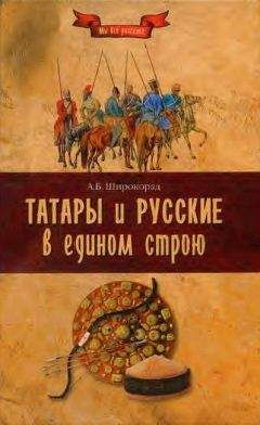 Читайте книги онлайн на Bookidrom.ru! Бесплатные книги в одном клике Александр Широкора - Татары и русские в едином строю