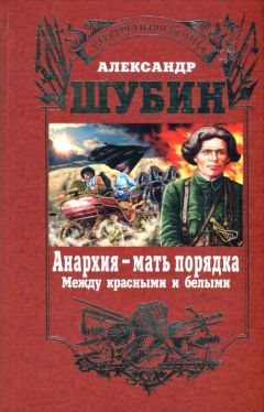 Александр Шубин - Анархия – мать порядка