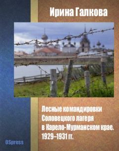 Читайте книги онлайн на Bookidrom.ru! Бесплатные книги в одном клике Ирина Галкова - Лесные командировки Соловецкого лагеря в Карело-Мурманском крае. 1929–1931 гг.