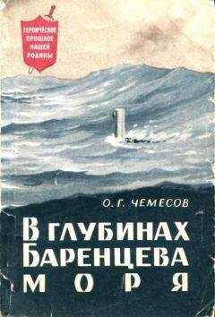 Читайте книги онлайн на Bookidrom.ru! Бесплатные книги в одном клике Олег Чемесов - В глубинах Баренцева моря