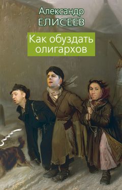 Читайте книги онлайн на Bookidrom.ru! Бесплатные книги в одном клике Александр Елисеев - Как обуздать олигархов