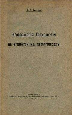 Читайте книги онлайн на Bookidrom.ru! Бесплатные книги в одном клике Борис Тураев - Изображения воскресения на египетских памятниках