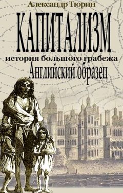 Читайте книги онлайн на Bookidrom.ru! Бесплатные книги в одном клике Александр Тюрин - Капитализм - история большого грабежа. Английский образец