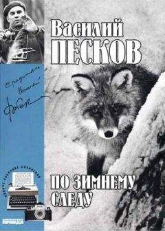 Читайте книги онлайн на Bookidrom.ru! Бесплатные книги в одном клике Василий Песков - Полное собрание сочинений. Том 7. По зимнему следу