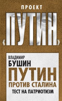 Читайте книги онлайн на Bookidrom.ru! Бесплатные книги в одном клике Владимир Бушин - Путин против Сталина. Тест на патриотизм